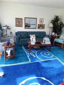 旧金山Centrally located; Walk anywhere!的客厅配有蓝色地毯和沙发