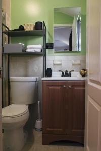 布鲁克林BGI Rentals的一间带卫生间和水槽的浴室