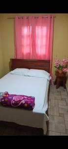 博尔坎Don Chacon Fest的卧室配有白色的床和粉红色窗帘