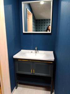 唐津朝食付き唐津里山の宿&ヨガ兎と亀的蓝色的浴室设有水槽和镜子