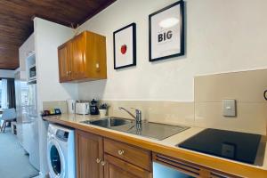 派西亚The Swiss Chalet Holiday Apartment 4, Bay of Islands的一个带水槽和洗碗机的厨房