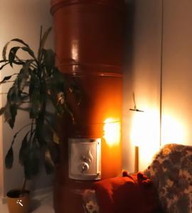 瓦尔考斯Residenssi Tuuli的一间带灯和盆栽的客厅