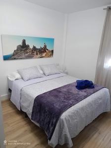 厄尔梅达诺Médano Dreams的卧室配有一张挂在墙上的床铺