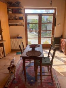尼科西亚Avli-the courtyard的一只狗站在带桌椅的房间