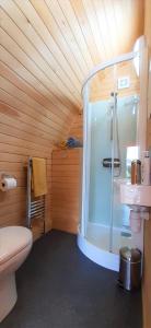 特鲁罗Robin- Ensuite Glamping Pod的带淋浴和卫生间的浴室