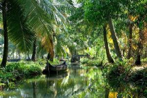 阿勒皮Bella Homestay Kerala的一条在棕榈树河畔的河上的小船