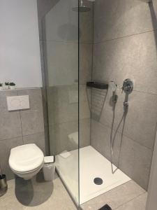 吕丁豪森MyHome-Tiny -stilvollen Ruhepol的一间带卫生间和玻璃淋浴间的浴室