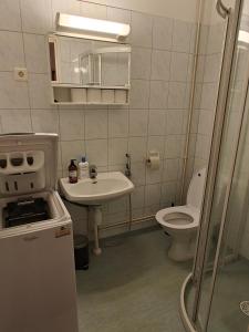 皮耶塔尔萨里Brooms - Newly renovated central studio apartment的一间带水槽和卫生间的小浴室