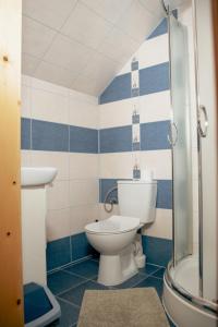 布泽吉Pokoje Gościnne Bożena Dunajczan的蓝色和白色的浴室设有卫生间和淋浴。