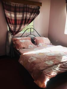 阿鲁沙Arusha homestay的一间卧室配有一张带天蓬和窗户的床