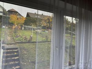普福尔茨海姆Ferienwohnung Grimm的享有庭院景致的窗户