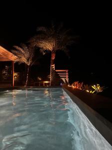Saint BarthelemyVilla Nagabaaja的一座拥有两棵棕榈树的夜间游泳池
