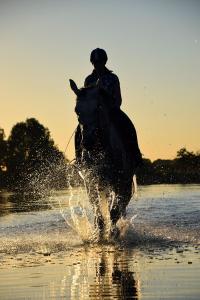 TampaksiringDaydream Lodge的骑马穿过水面的人