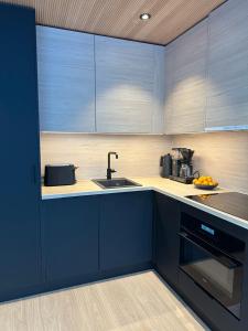 列维Levi Aurora Sky的厨房配有蓝色橱柜和水槽