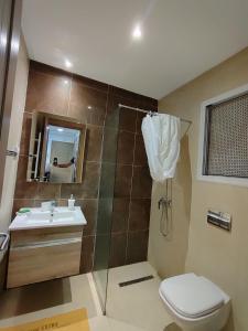 哈马马特Superbe appartement la Terrasse Hammamet Nord Mrezga的带淋浴、卫生间和盥洗盆的浴室