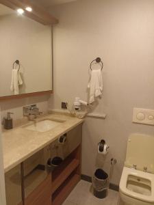 伊斯坦布尔Doğan Palace Hotel的一间带水槽、卫生间和镜子的浴室