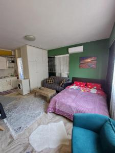 塞萨洛尼基Anastasia2 apartments的一间卧室配有一张紫色的床和一张沙发