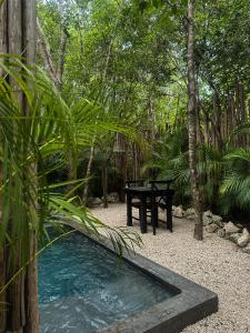 图卢姆Hotel Bardo - Adults Only的花园内的一个野餐桌和水池