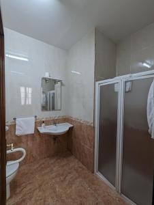格拉纳达纳瓦罗拉莫斯城市旅馆的带淋浴和盥洗盆的浴室