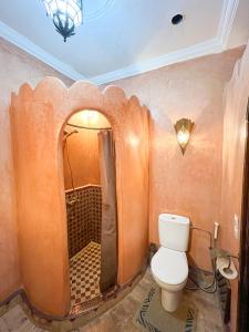 马拉喀什艾丽马拉喀什旅馆的一间带卫生间和淋浴的浴室