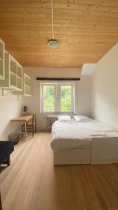 那慕尔Studio vue sur Meuse的一间卧室配有一张床和一张书桌