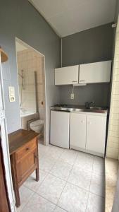 那慕尔Studio vue sur Meuse的一间带水槽和卫生间的厨房