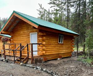 麦金利公园Carlo Creek Cabins的小木屋设有白色门和绿色屋顶
