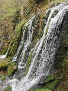 皮罗特Vila Budimir的山坡上瀑布与苔 ⁇ 