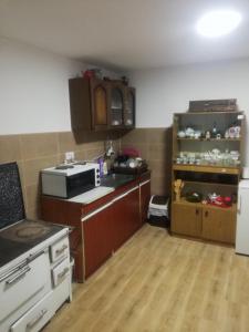 皮罗特Vila Budimir的小厨房配有炉灶和冰箱