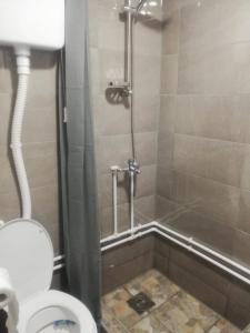 皮罗特Vila Budimir的带淋浴、卫生间和盥洗盆的浴室
