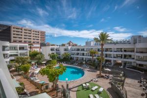 美洲海滩Optimist Tenerife的享有酒店空中景色,设有游泳池和棕榈树