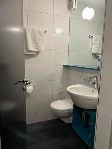 图芬„gg“ games garni Hotel Säntis的一间带卫生间和水槽的浴室