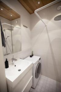 赫尔辛基Luxury Nordic Loft with Great Kitchen and Location的一间带水槽和洗衣机的浴室