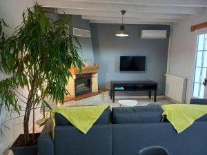 贝尔热拉克Gîte d'Elvire Maison chaleureuse avec jacuzzi privatif et parc arboré的客厅设有蓝色的沙发和壁炉
