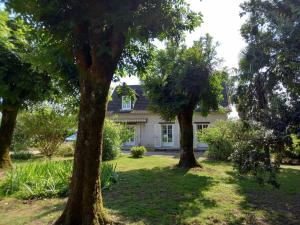 贝尔热拉克Gîte d'Elvire Maison chaleureuse avec jacuzzi privatif et parc arboré的院子里两棵树的房子