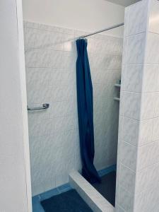 伦布尔克Apartmán Mája的浴室内配有蓝色淋浴帘