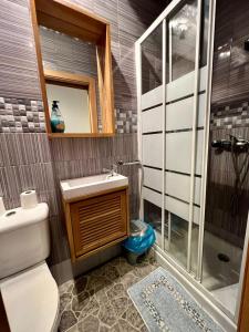 阿利坎特米兰旅馆的带淋浴、卫生间和盥洗盆的浴室