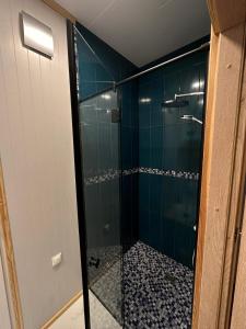 尤尔马拉StagHorn floating river house的浴室设有蓝色瓷砖和淋浴。