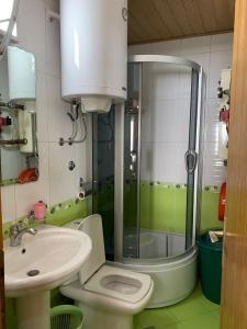 亚霍里纳科苏塔公寓的浴室配有卫生间、盥洗盆和淋浴。