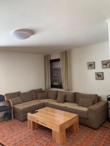 亚霍里纳科苏塔公寓的带沙发和咖啡桌的客厅