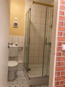 埃森Schöne Dachgeschosswohnung的带淋浴、卫生间和盥洗盆的浴室
