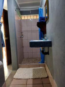 San José del SurHostal Xilotl的带淋浴和蓝色水槽的浴室