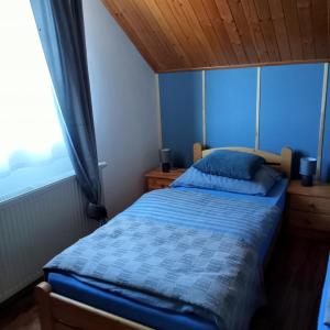KamiennaAgroturystyka u Rysia的一间卧室配有一张带蓝色棉被的床和窗户。