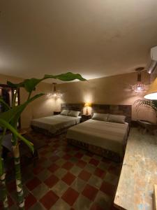 巴利亚多利德Casa Sílice的一间卧室设有两张床,里面种有植物