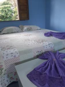 伊列乌斯Pousada Bem Te Vi的一张床上的紫色毯子,窗户