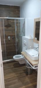 Apartmani Stara Skola的带淋浴、卫生间和盥洗盆的浴室