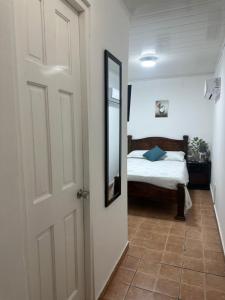 戴维Hostal Compostela Inn的一间卧室配有一张床和一个带镜子的门