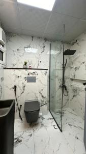 阿吉曼Luxury 2 bedroom new brand的一间带卫生间和玻璃淋浴间的浴室