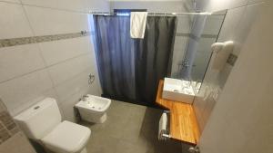 拉帕洛马Hotel Viola的浴室配有卫生间、盥洗盆和淋浴。