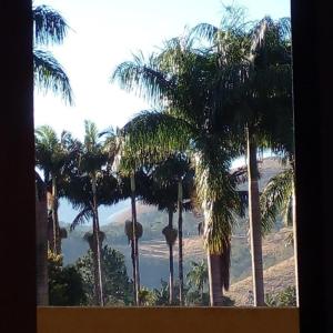 圣若泽杜斯坎普斯Casa SFX Centro的从窗户可欣赏到海滩和棕榈树的景色
